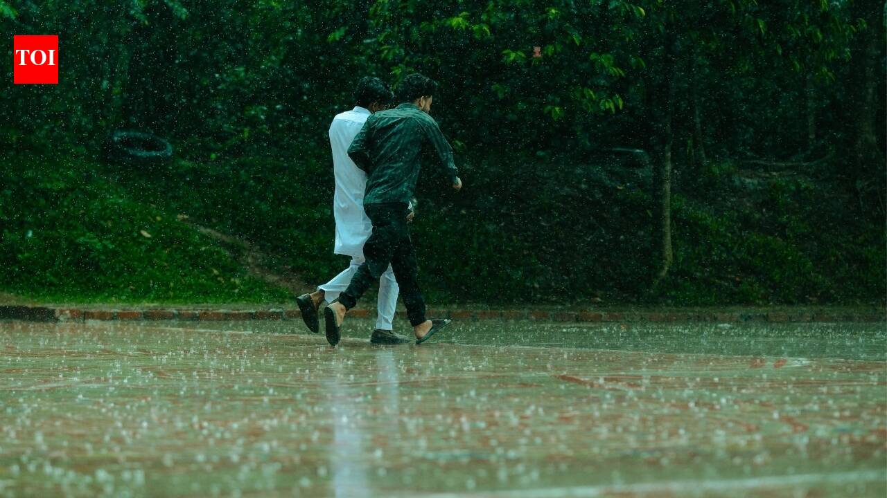 India weather alert: Monsoon advances as IMD flags heavy rain and flood risks; is your state on the list?