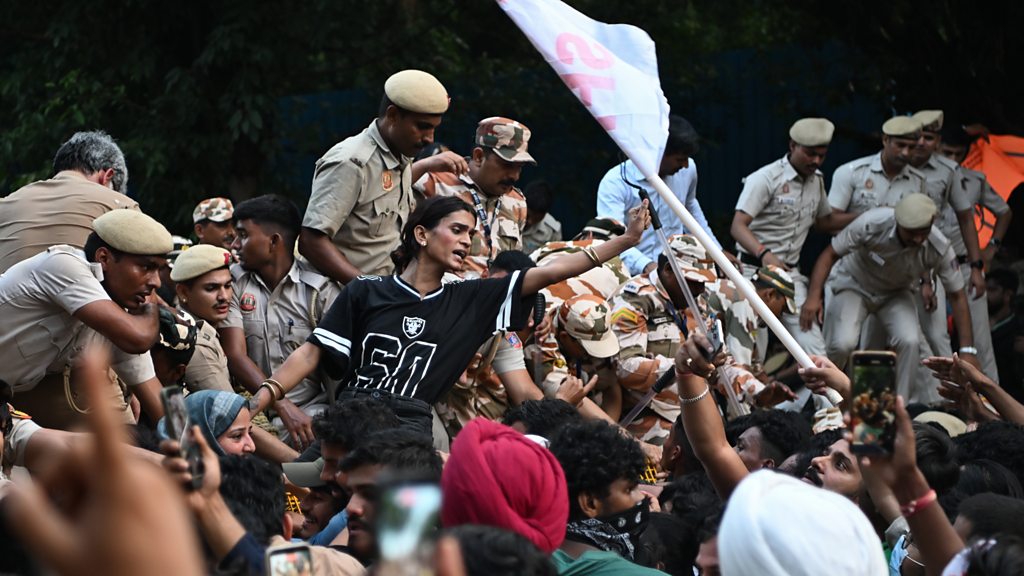 'Cockroach' protests over changes to India's voter rolls